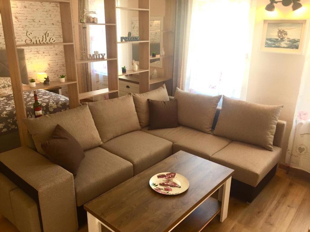 Apartments Friendly Family In The City Center Budweis Exterior foto