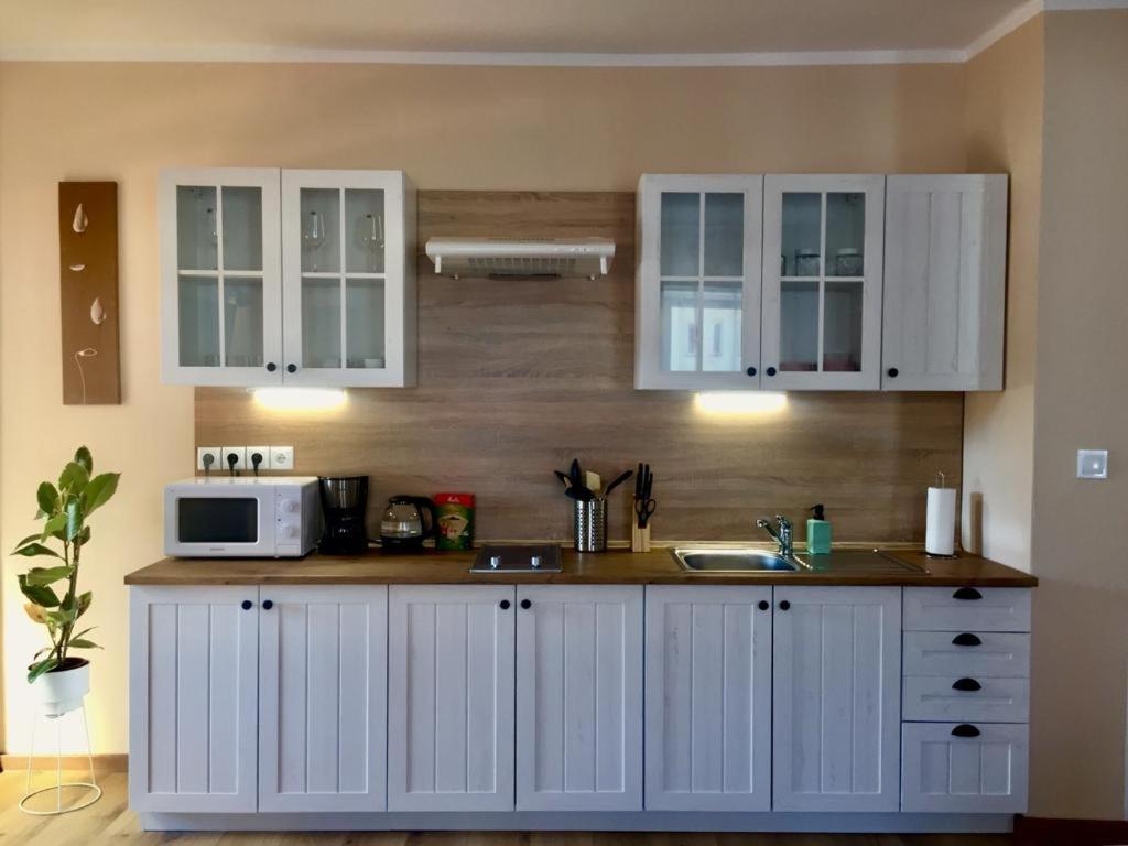 Apartments Friendly Family In The City Center Budweis Exterior foto